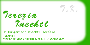 terezia knechtl business card